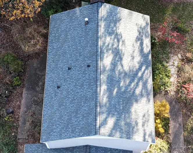 dji fly 20241122 082632 0144 1732282328142 photo